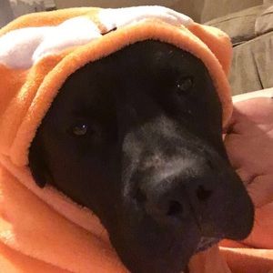 Meet your Posher, Cassie